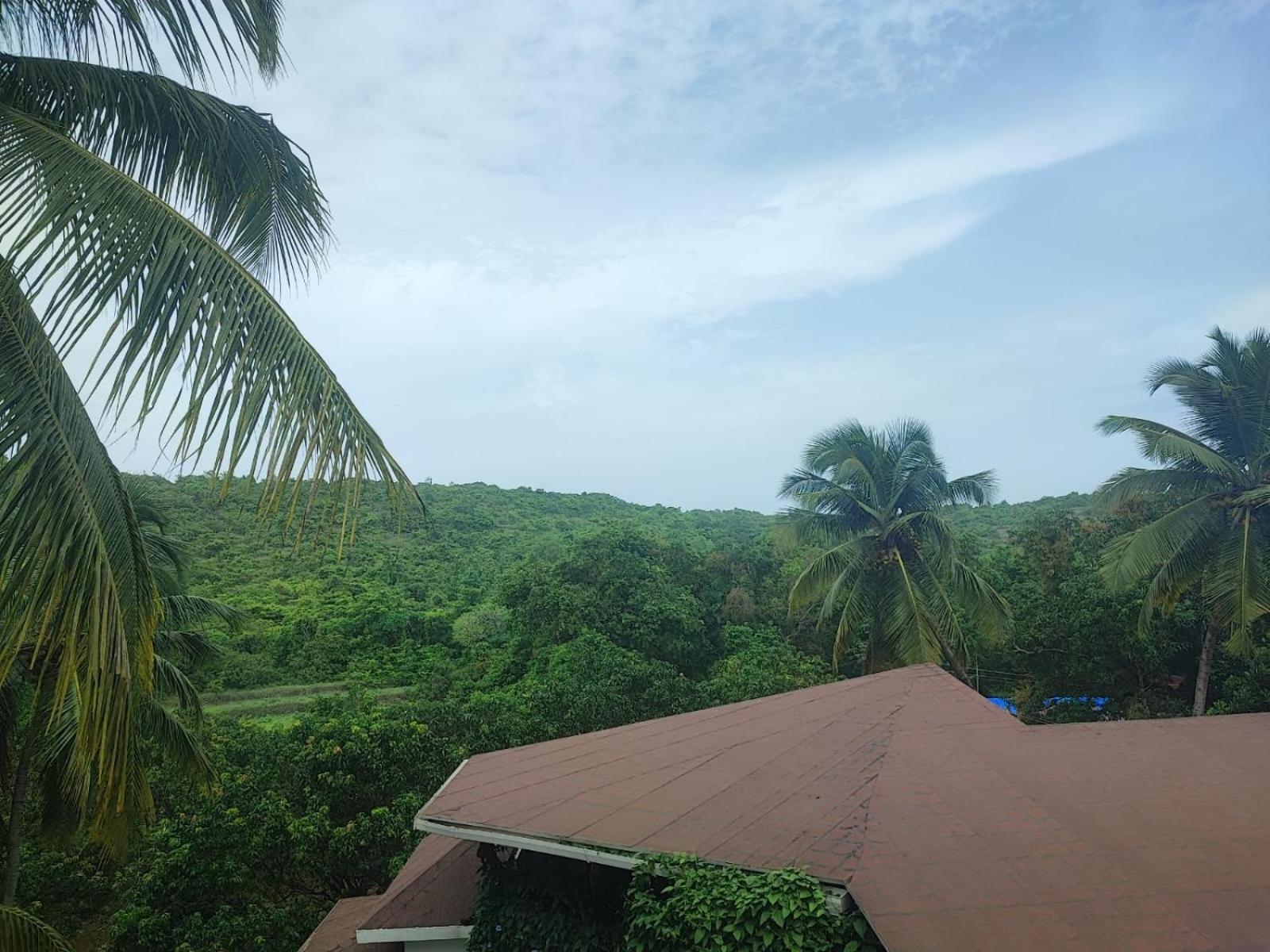 The Verda De Miranda Resort Morjim North Goa Esterno foto